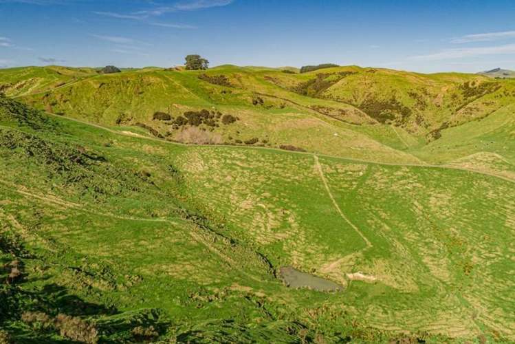 134 Bowen Road Eketahuna_13