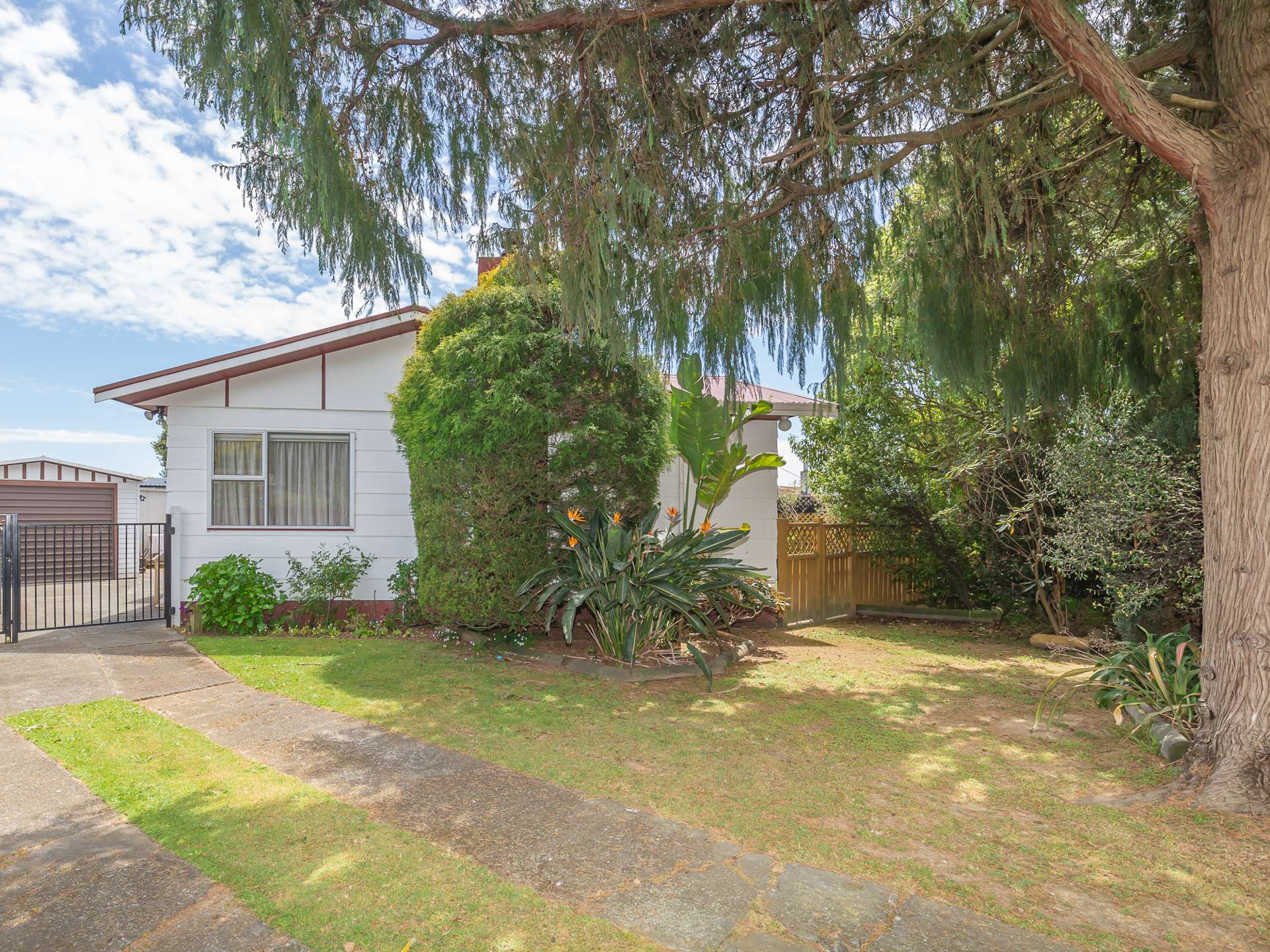 14 Strathmore Avenue Levin_0