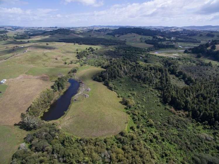 137 Sanson Road Ruawaro_8