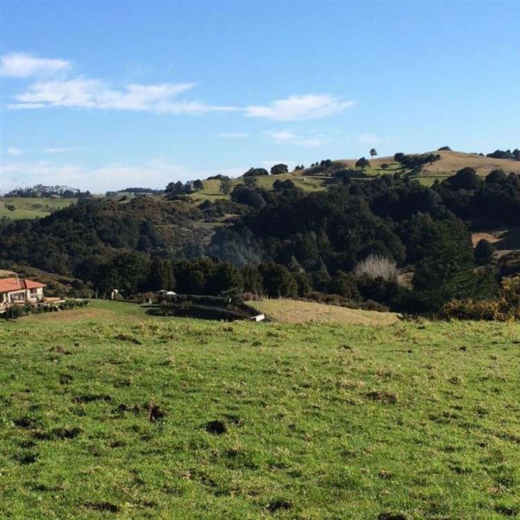 62 Kiwi Lane Kaiwaka_11