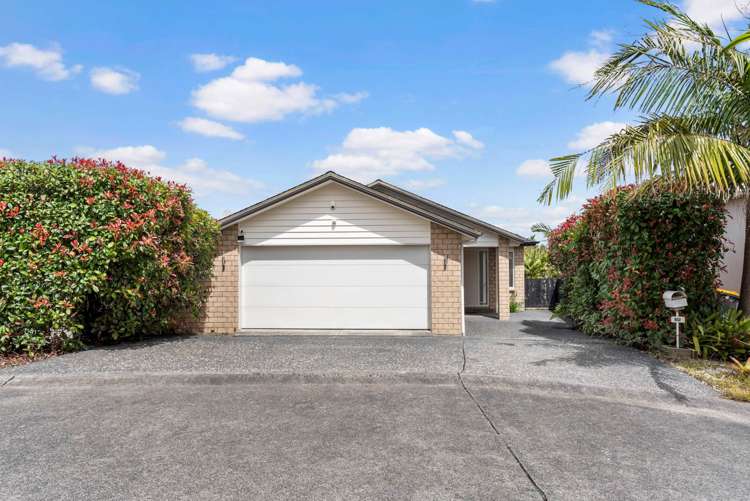 102 Glendhu Road Bayview_31