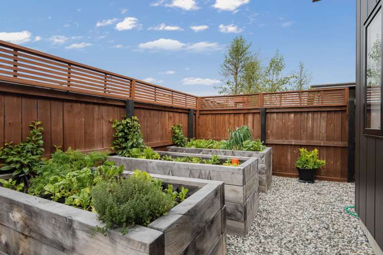 231 Taylor Pass Road Witherlea_34