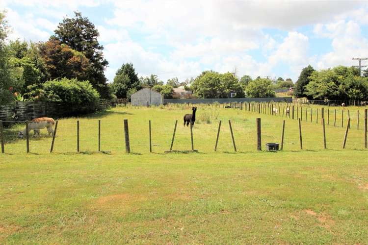 36 Burgoyne Street Woodville_2