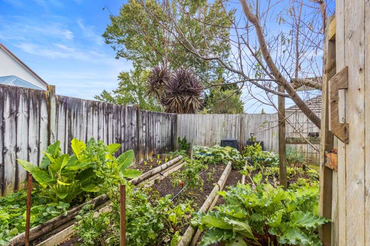 11a Alexandra Avenue Morrinsville_13