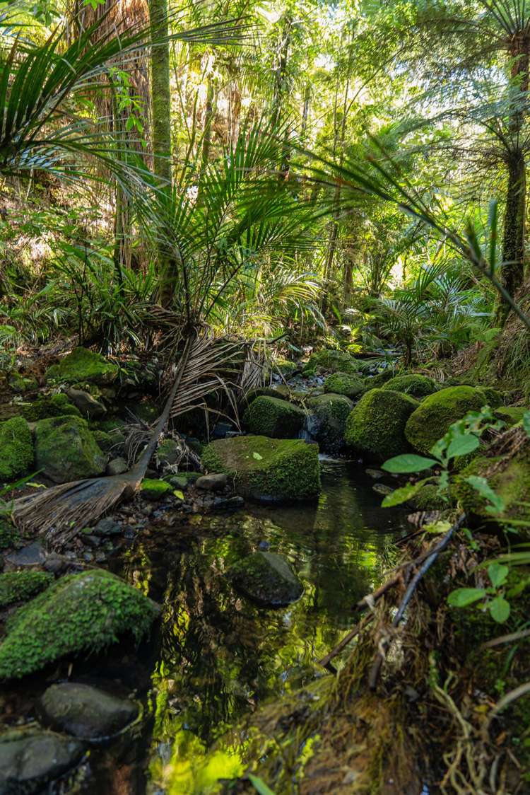 16 Tarapatiki Drive Whitianga_40