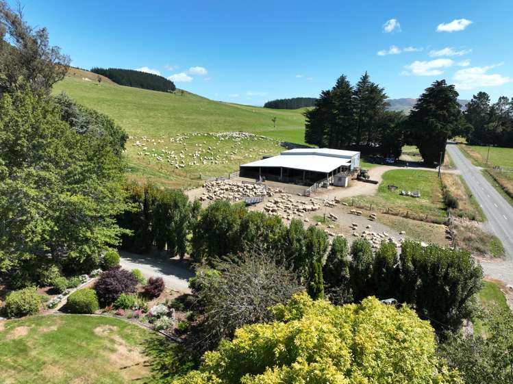 Caroline Valley Road Dipton_3