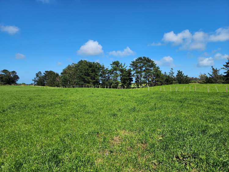 Ahipaipa Road Okaiawa_12