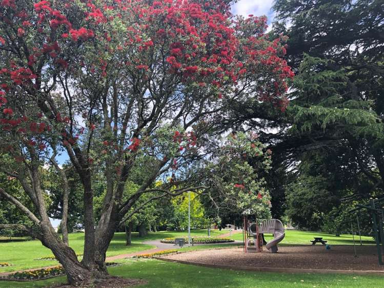 52A Carlton Gore Road Grafton_11