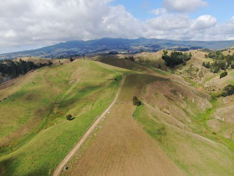 1026 Limeworks Loop Road Karamu_9