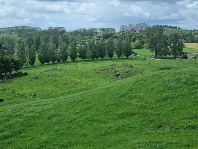 267 Ludbrook Road Pakaraka_2