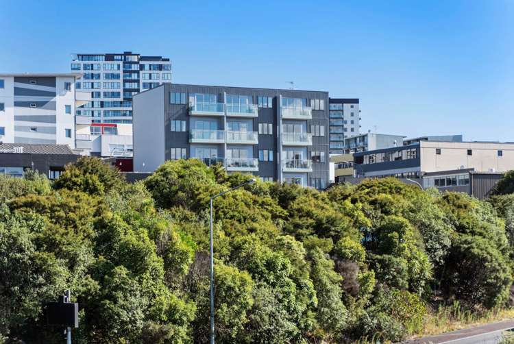 5a/6 Winchester Street Grey Lynn_12