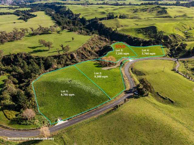Prime Puketapu Sections