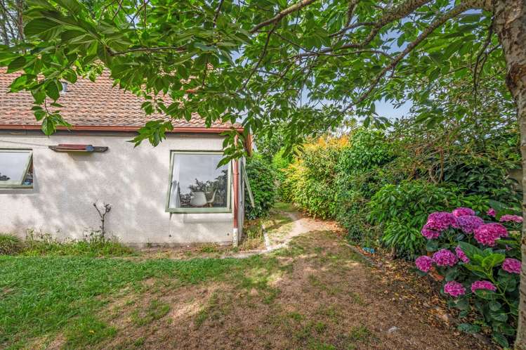 4/509 Fitzroy Ave Mahora_18