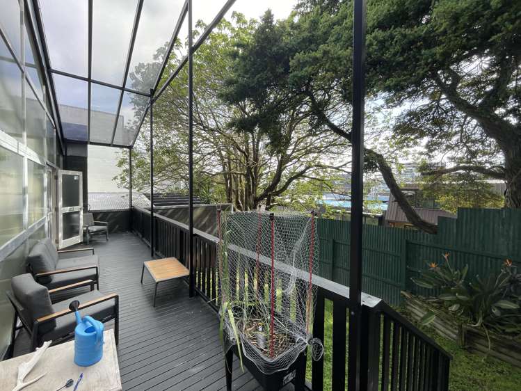 37 Charlotte Street Eden Terrace_1