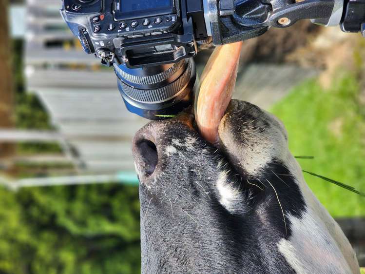 115 Hawkens Road Makarau_27