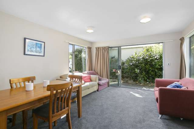 695 Castle Street North Dunedin_1