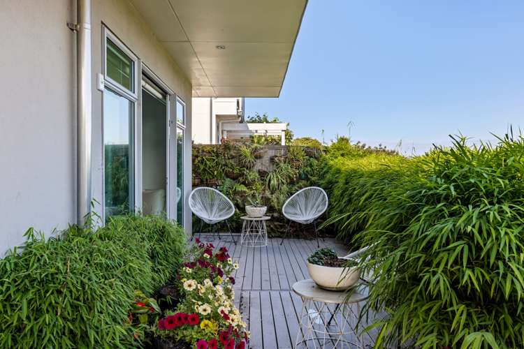 62b Milton Road Otumoetai_13