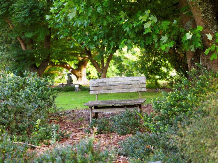 52E Loop Road Te Puna_41