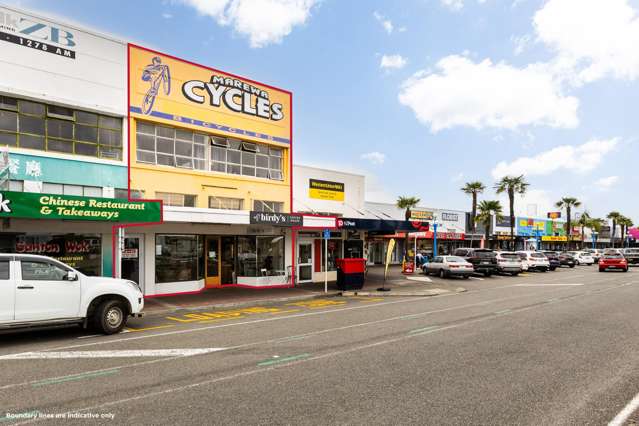Napier City apartment with separate income