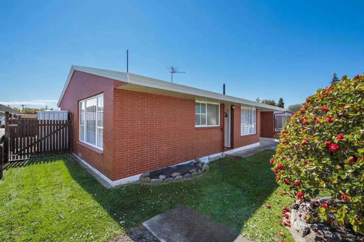 19A Nosworthy Street Blenheim_19