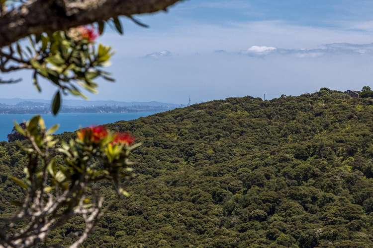 56 Okoka Road Omiha_8