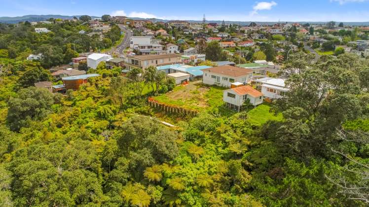 372a Hillsborough Road Hillsborough_6