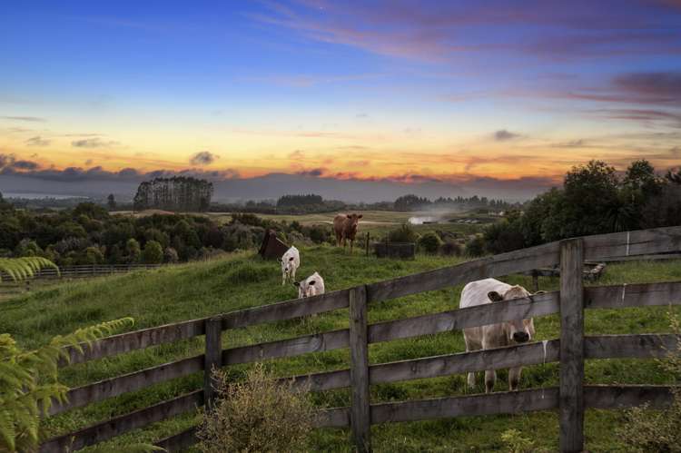 371 Central Road Hamurana_1