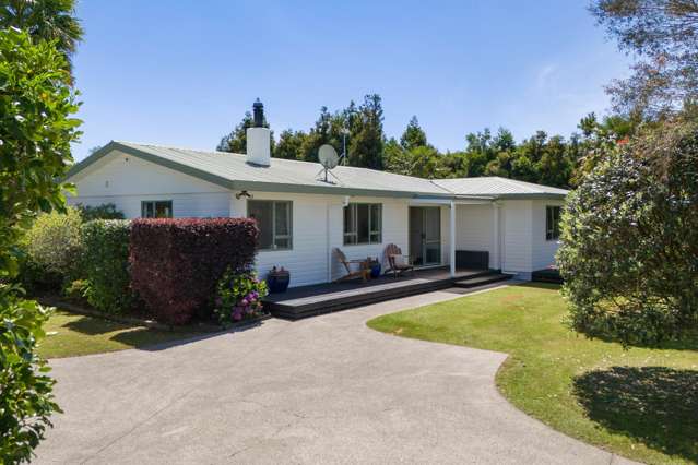 474 Youngson Road Whakamarama_4