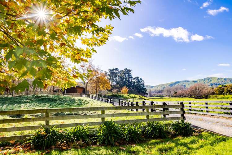219a Hinekura Road Martinborough_25