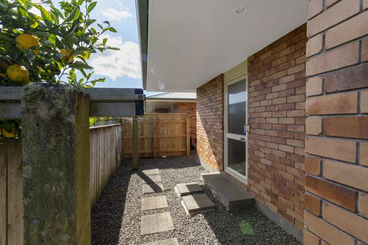 24B Reeve Street Levin_11