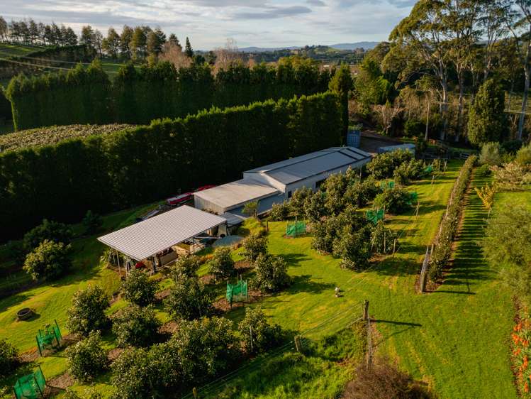 24c Pahoia Road Whakamarama_9