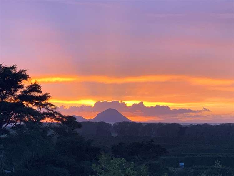 4 Kereru Lane Matata_24