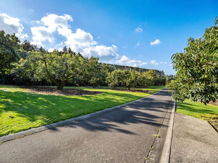 237B Busby Road Katikati_30