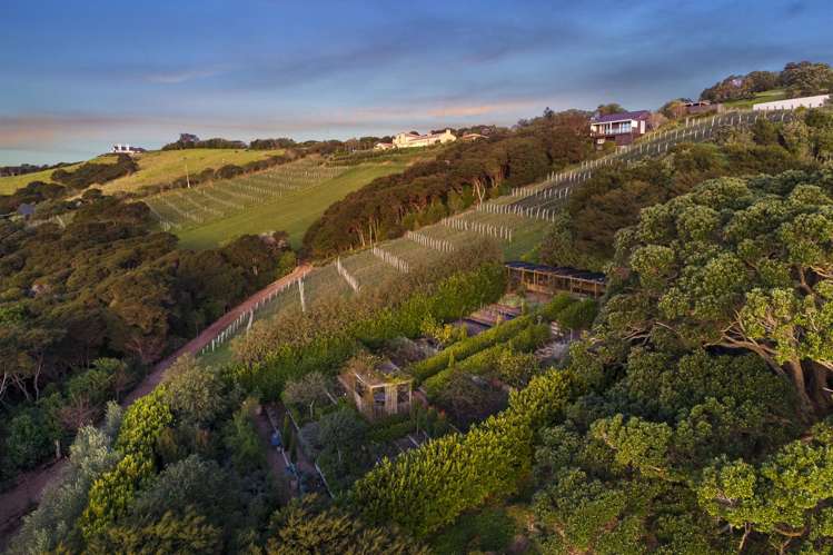 211 Te Whau Drive Waiheke Island_7