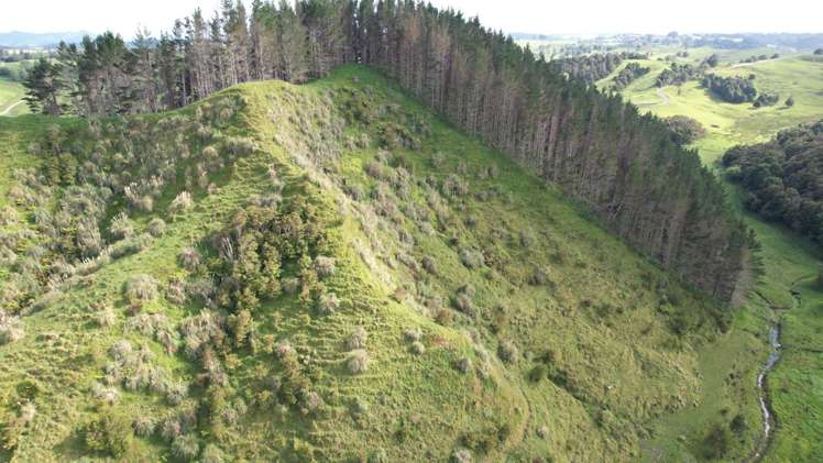 Taylor Road Mangapai and Surrounds_15