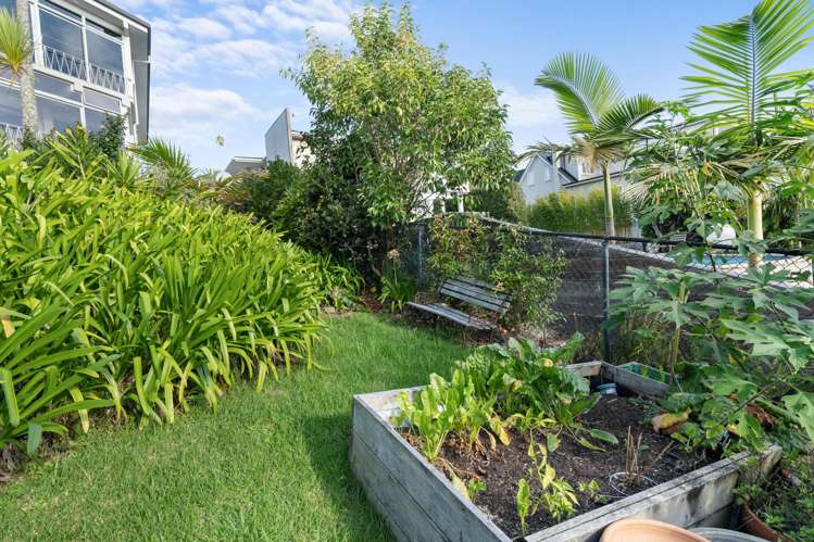 4/26 Springcombe Road St Heliers_15