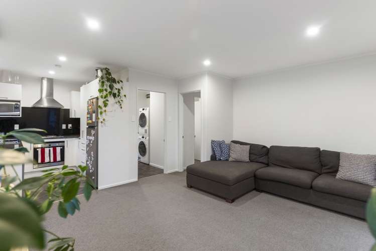 6a Powell Place Henderson_11