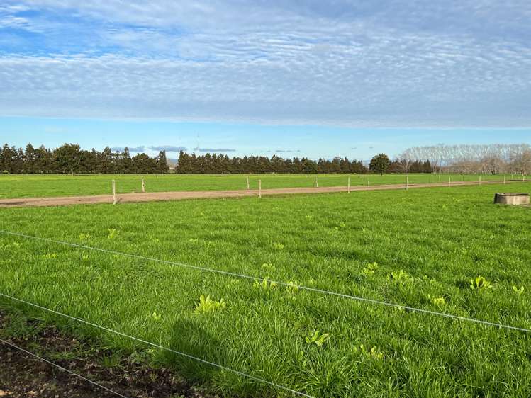 768 Piako Road Gordonton_14