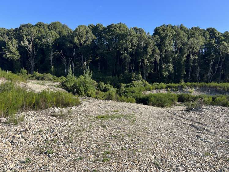 Lot . Red Jacks Road Ngahere_10