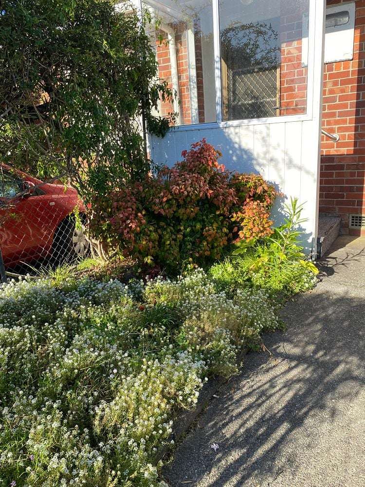 1/10 Ocean View Road Northcote_3