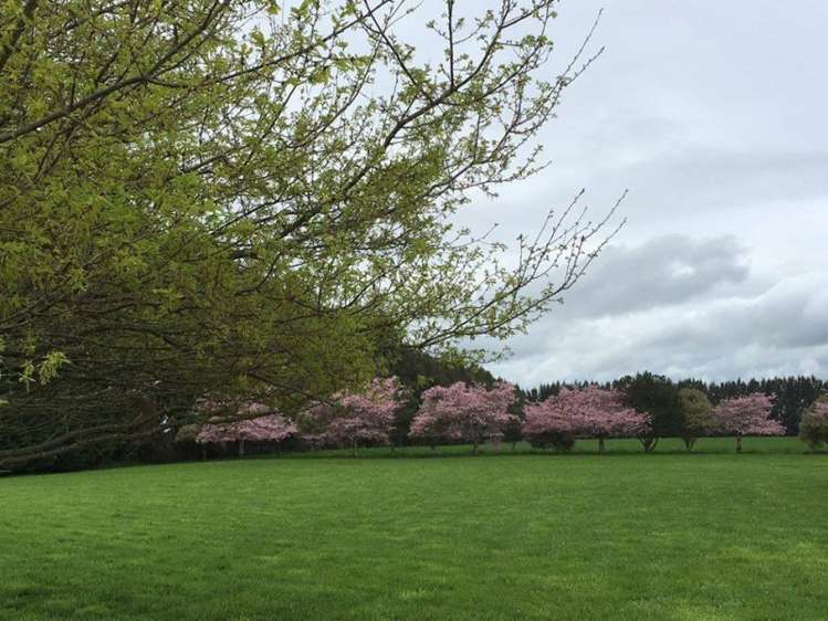 10a Brighton Grove Newstead_5