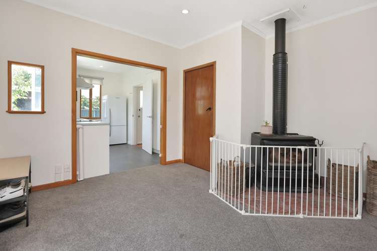 18 Harrison Street Allenton_6