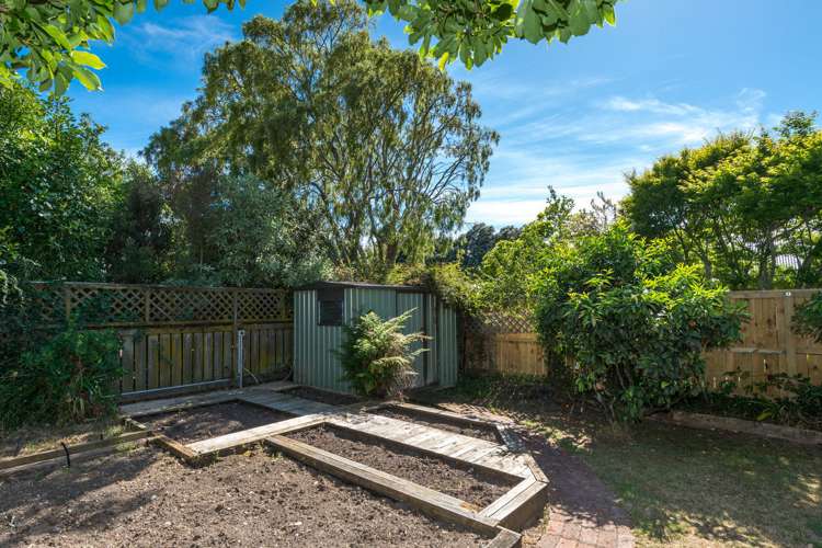 43 Alton Street Nelson City_5