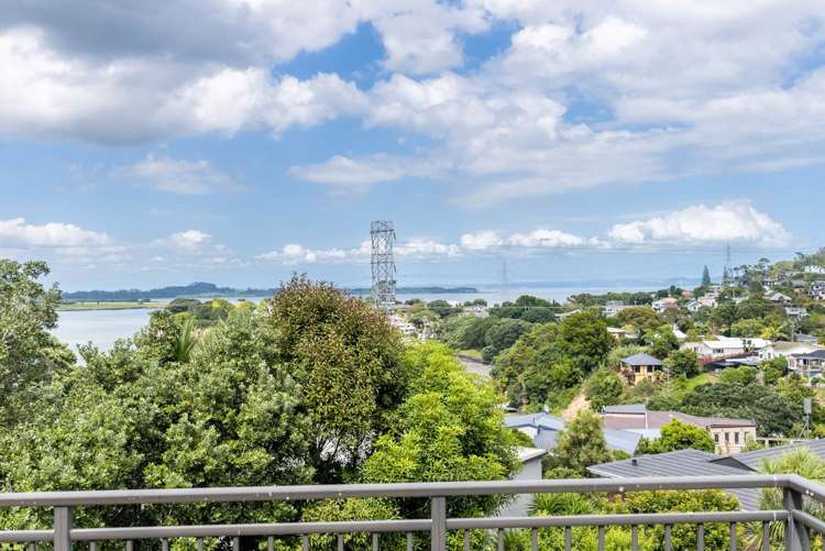 65 Frederick Street Hillsborough_11