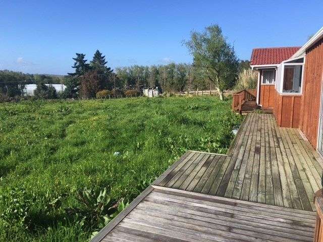 349 Postman Road Dairy Flat_2