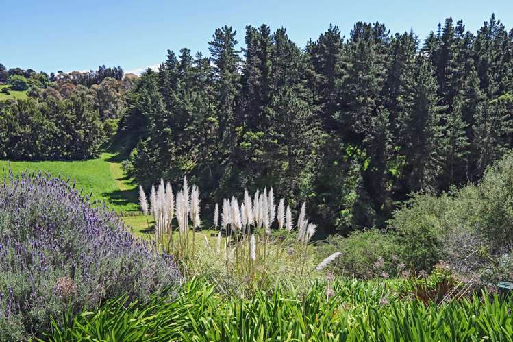 12 Poraiti Road Poraiti_21