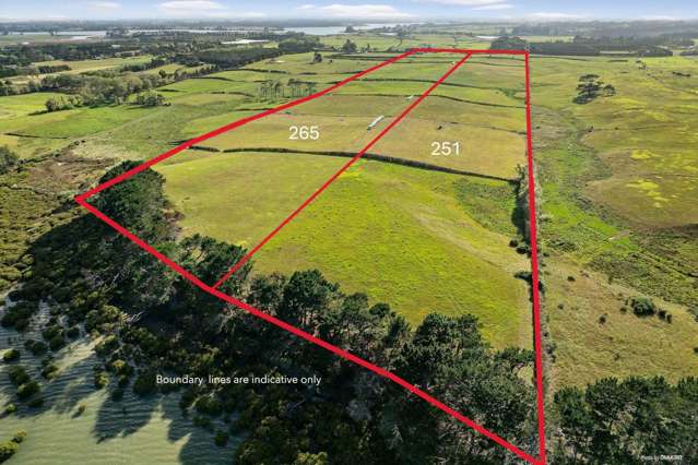 251 Glenbrook Beach Road Glenbrook_4