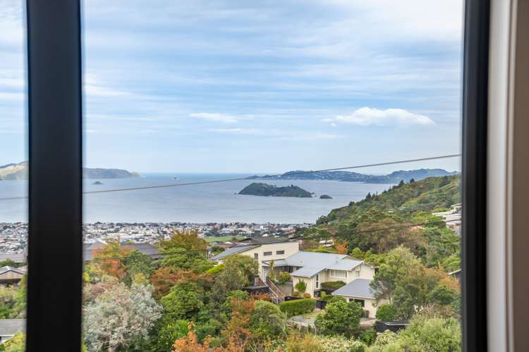 14 Poto Road Normandale_18