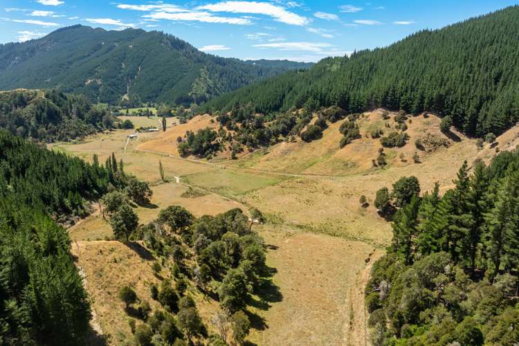 407 Onamalutu Road Wairau Valley_38