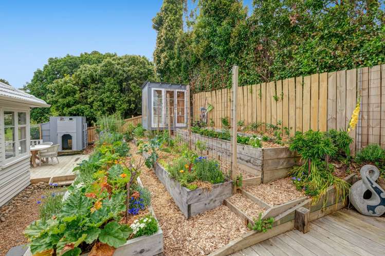 10 St James Ave Helensville_7